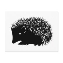 Hedgehog postcards