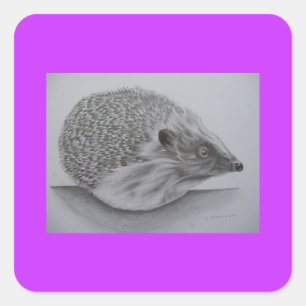 Hedgehog Products (2) Square Sticker