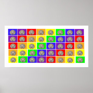 Hedgehog Rainbow Poster