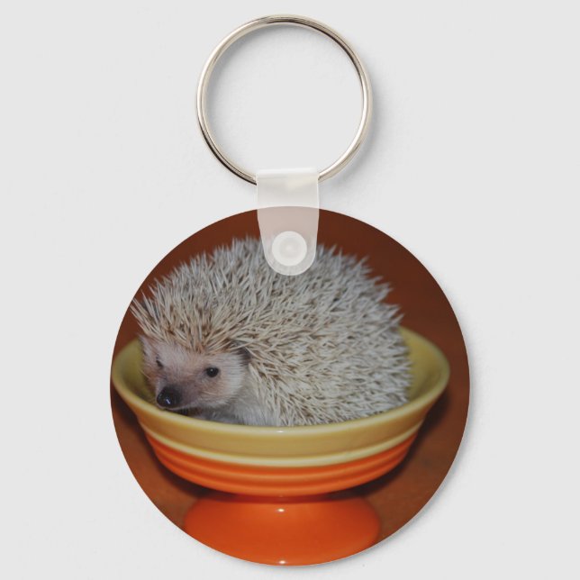 Hedgehog Sundae Key Ring (Front)