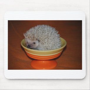 Hedgehog Sundae Mouse Pad