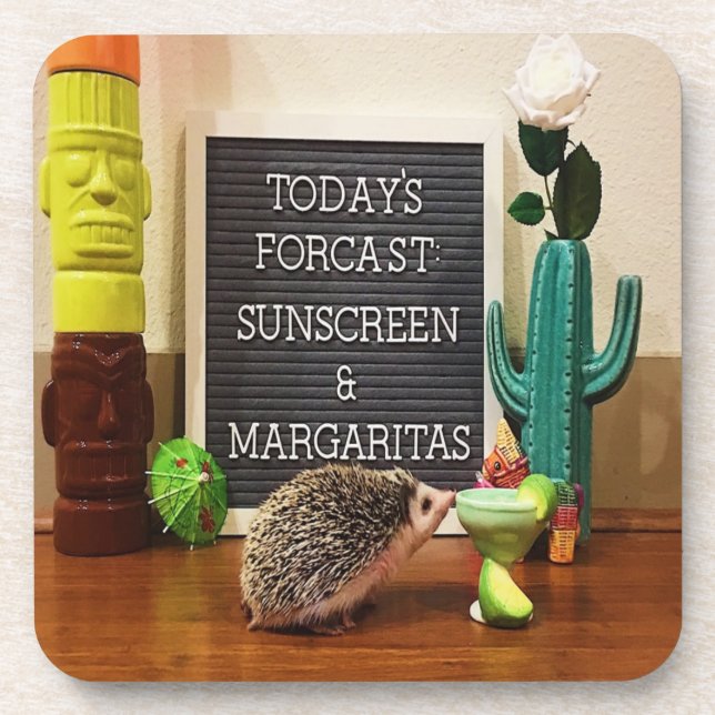 Hedgehog Sunscreen and Margaritas Coaster (Front)