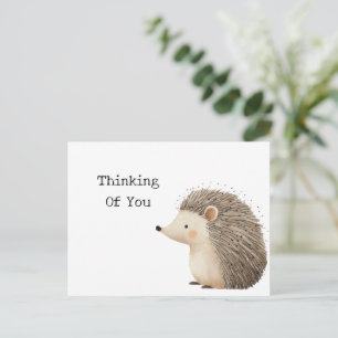 Hedgehog Thinking of you Postcard