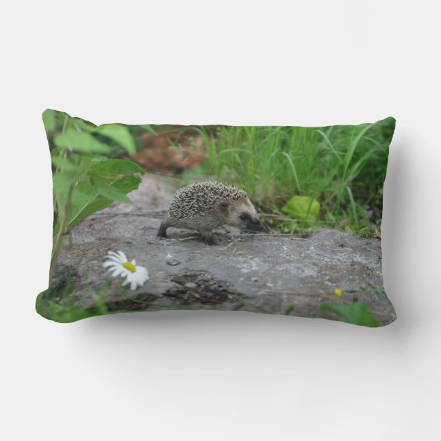 Hedgehog throw pillow (Front)