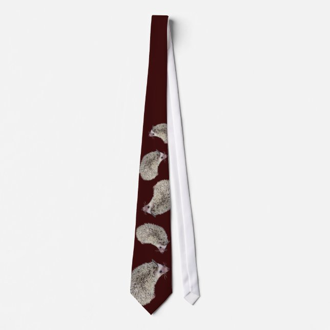 Hedgehog Tie (Front)