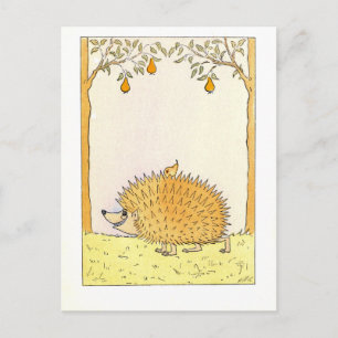 "Hedgehog - Vintage Illustration Postcard