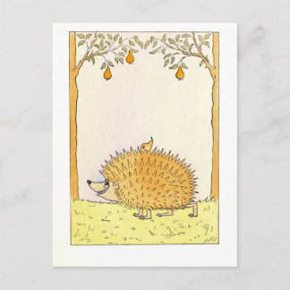 "Hedgehog - Vintage Illustration Postcard