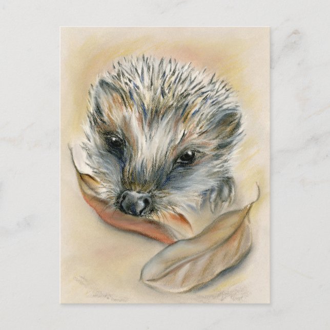 Hedgehog with Autumn Leaves Postcard (Front)
