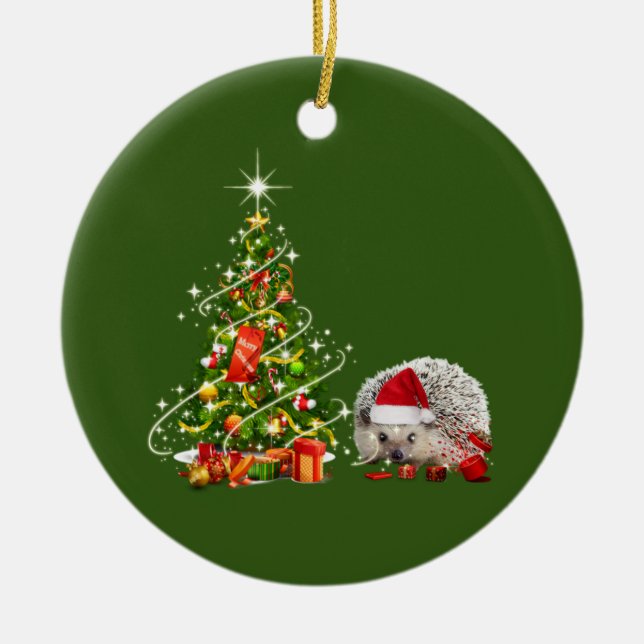 Hedgehog With Hat LIGHTS Christmas Ceramic Ornament (Front)