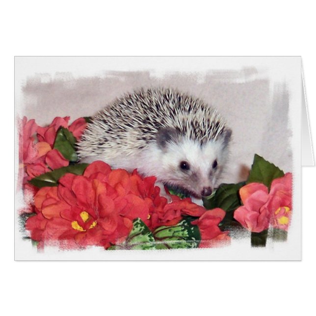 Hedgehog With Orange Flowers (Front Horizontal)