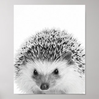 Hedgehog Woodland Kids Room Decor 
