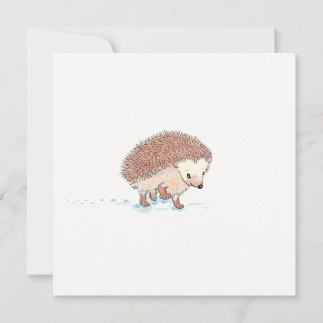 Hedgehog's Big Adventure  Card (Front)