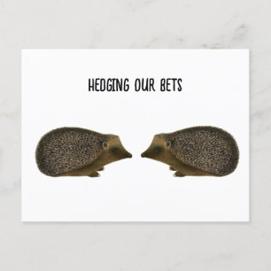 Hedgehogs getting married - Funny Hedgehog wedding Postcard