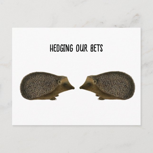 Hedgehogs getting married - Funny Hedgehog wedding Postcard (Front)