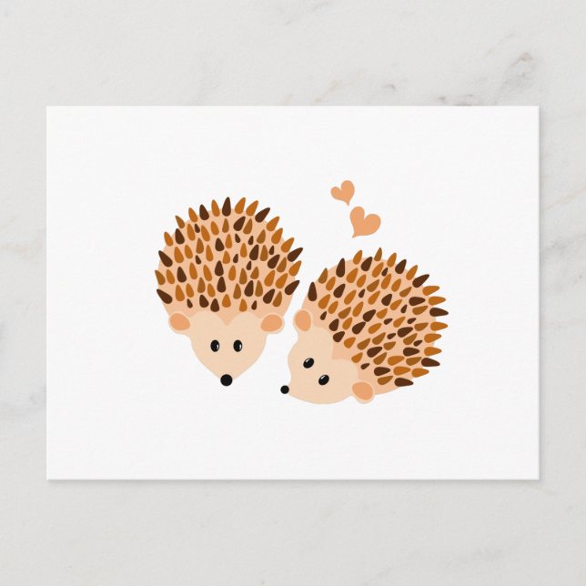 Hedgehogs illustration postcard (Front)