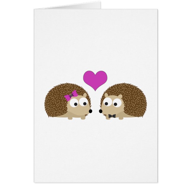 Hedgehogs in love (Front)