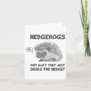 Hedgehogs Why Don't They Just Share The Hedge Card