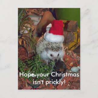 Hedgie the Hedgehog wishes you a Merry Christmas Holiday Postcard