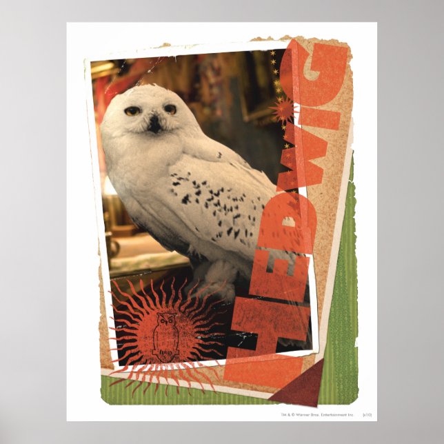 Hedwig 1 poster (Front)