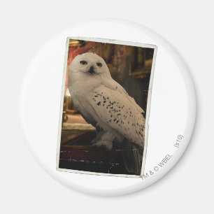 Hedwig 3 magnet