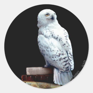 Hedwig on books classic round sticker
