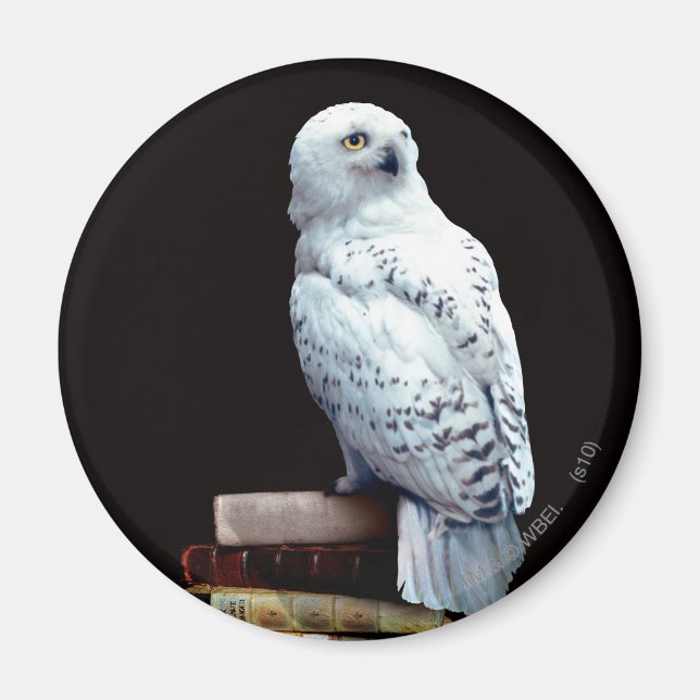 Hedwig on books magnet (Front)