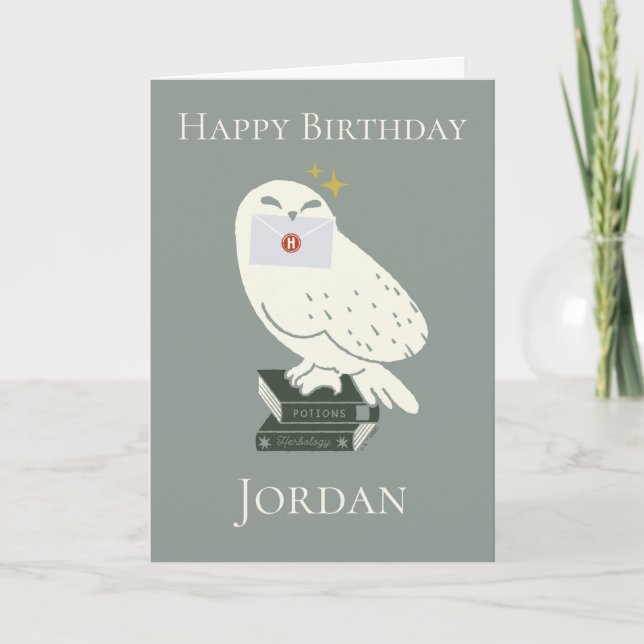 Hedwig With Letter Whimsical Drawing Card (Front)