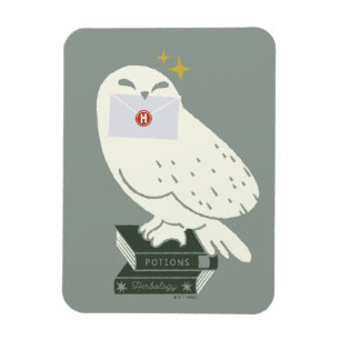 Hedwig With Letter Whimsical Drawing Magnet