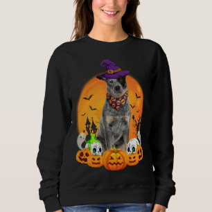 Heeler Witch Pumpkin Halloween Dog Sweatshirt