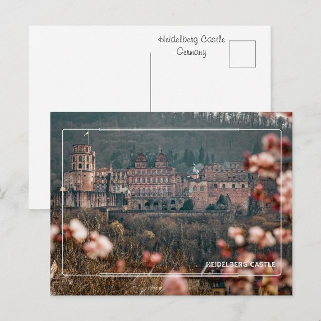 Heidelberg Castle Spring | Romantic Germany  Postcard (Front/Back)