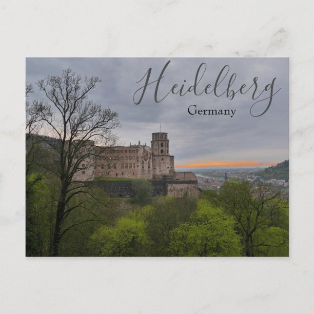 Heidelberg Germany Castle Postcard (Front)