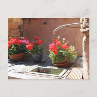 Heidelberg Outdoor Sink Postcard