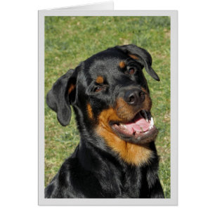 Heidi Cute Rottweiler Blank Greeting Card