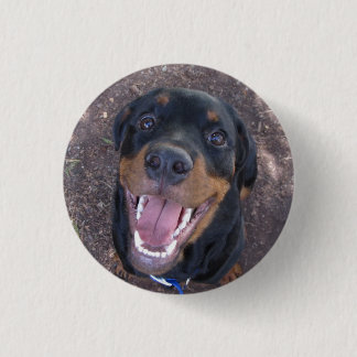 Heidi Happy Rottweiler Button