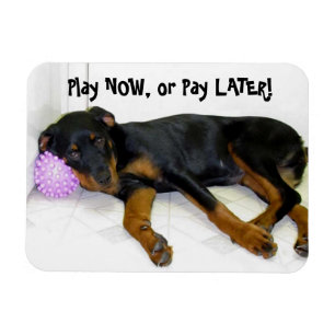 Heidi Play Now, or Pay Later Magnet