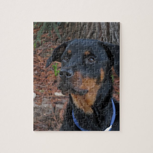 Heidi Rottweiler Puzzle (Vertical)