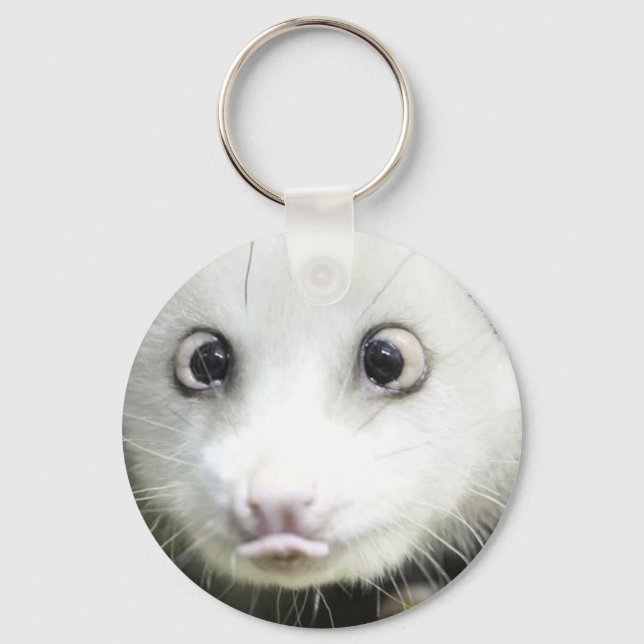 Heidi The Cross Eyed Opossum Key Ring (Front)