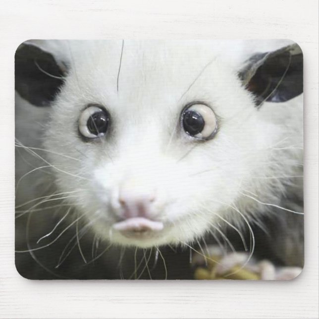Heidi The Cross Eyed Opossum Mouse Pad (Front)