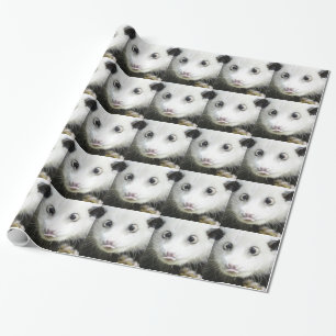 Heidi The Cross Eyed Opossum Wrapping Paper
