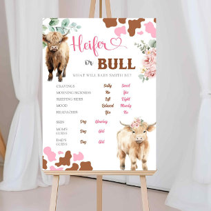 Heifer or Bull Cow Gender Reveal Old Wives Tales Poster