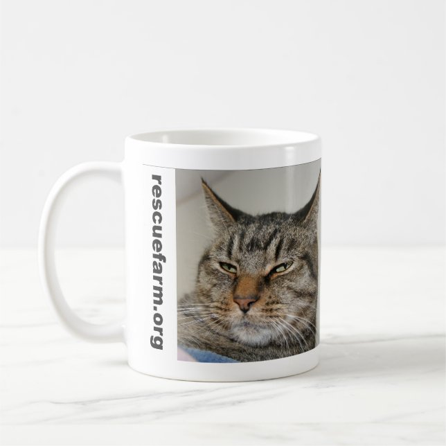 Heinz Mug (Left)