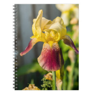 Heirloom Iris Notebook