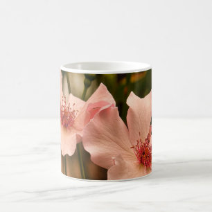 Heirloom Pink Rose Coffee Mug