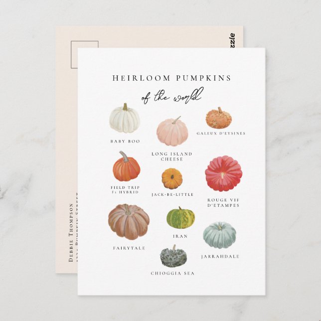 Heirloom Pumpkins Fall Postcard (Front/Back)