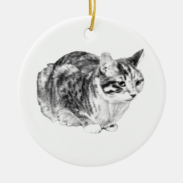 Heirloom Shading, Watchful Tabby Ceramic Ornament (Front)