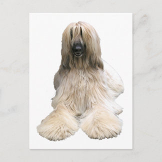 Helaine's Afghan Postcard