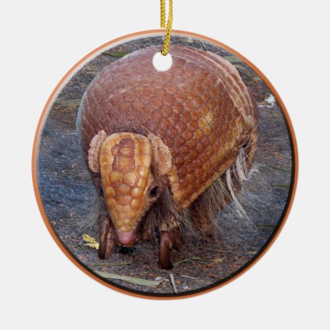 Helaine's Armadillo Ceramic Tree Decoration (Front)