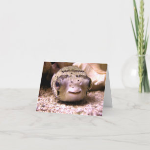 Helaine's Blowfish Pufferfish Card