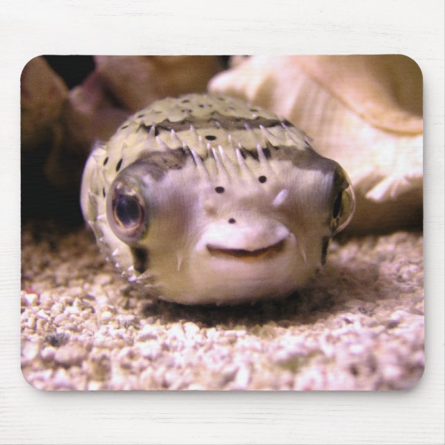 Helaine's Blowfish Pufferfish Mouse Pad (Front)