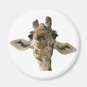 Helaine's Goofy Giraffe Magnet